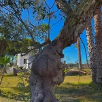 Bed & Breakfast Tenuta Kalós
