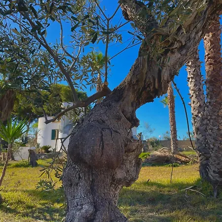 Bed & Breakfast Tenuta Kalos